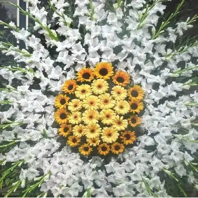 تاج گل طبیعی